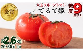 てるて姫 大箱 約2.6kg × 1箱 【20～35玉/1箱】 2026年産 野菜ソムリエサミット 金賞 糖度9度 以上 野菜 フルーツトマト フルーツ トマト とまと [AF109ci]