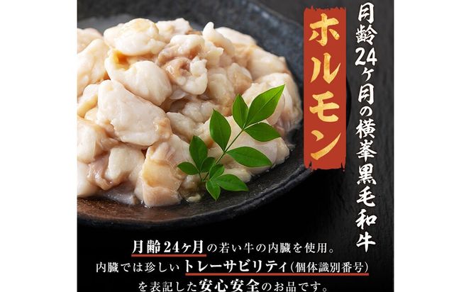 月間25セット限定！【数量限定】鹿児島県志布志市産横峯黒毛和牛のモツ鍋セット(4～5人前) a3-211