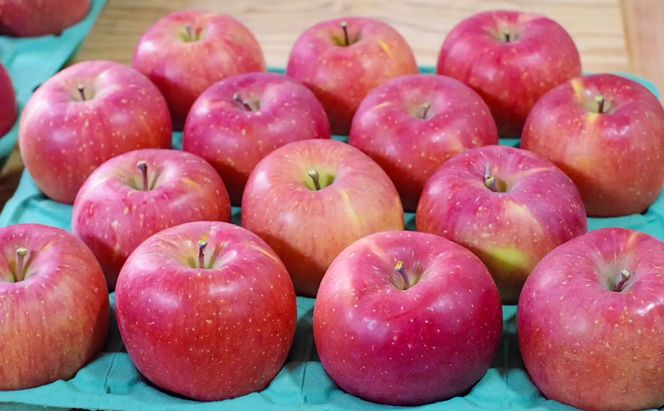 ふじ 約10kg りんご リンゴ 林檎 果物 フルーツ 長野県 長野 山ノ内町