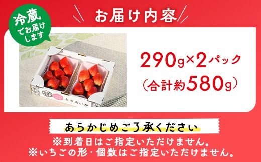 いちご（とちあいか） 290g×2パック 580g以上｜先行予約 数量限定 栃木県 果物 くだもの フルーツ 苺 イチゴ ※2024年11月下旬頃～2025年3月下旬頃に順次発送予定