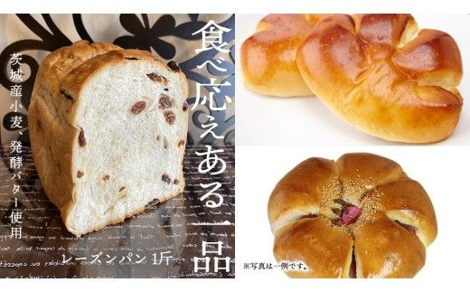 【 6ヶ月 定期便 】茨城県産 小麦 100％！ 茨城 を応援！ 3種の 食パン 食べくらべ セット 食べ比べ パン ギフト 詰め合わせ 冷凍 小麦粉 国産 [AU017ci]