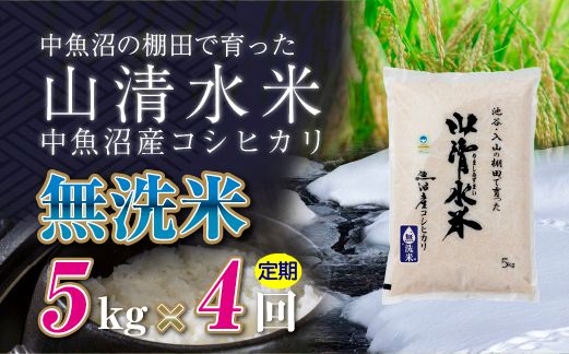 【定期便／全4回】無洗米5kg 新潟県魚沼産コシヒカリ「山清水米」 