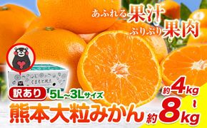 【新登場！】訳あり 熊本 大粒みかん 約4kg 約8kg (3L～5Lサイズ) みかん 先行予約 ご家庭用 たっぷり 熊本県産 熊本県 期間限定 フルーツ 旬 柑橘 大玉《2025年1月中旬-2月末頃より出荷予定》---gkt_otbmkn_bc1_24_7000_4kg---