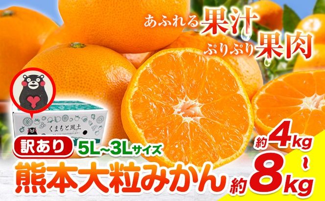 【新登場！】訳あり 熊本 大粒みかん 約4kg 約8kg (3L～5Lサイズ) みかん 先行予約 ご家庭用 たっぷり 熊本県産 熊本県 期間限定 フルーツ 旬 柑橘 大玉《2025年1月中旬-2月末頃より出荷予定》---gkt_otbmkn_bc1_24_7000_4kg---