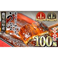 【3344331a】＜食べきりサイズ！＞東串良町のうなぎ蒲焼(無頭)(100尾・計10000g・タレ、山椒付) うなぎ 高級 ウナギ 鰻 国産 蒲焼 蒲焼き たれ 鹿児島 ふるさと 人気 【アクアおおすみ】
