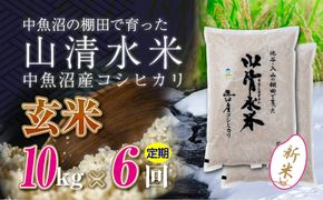 【令和8年産 新米】 【定期便／全6回】玄米10kg　新潟県魚沼産コシヒカリ「山清水米」十日町市 米