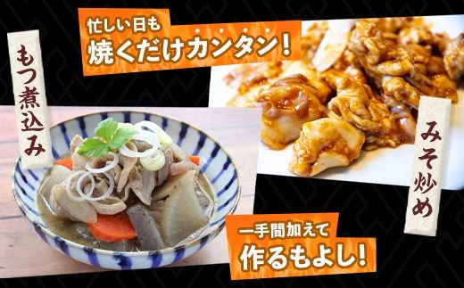 yȖ،szȖ،YLOz 500g