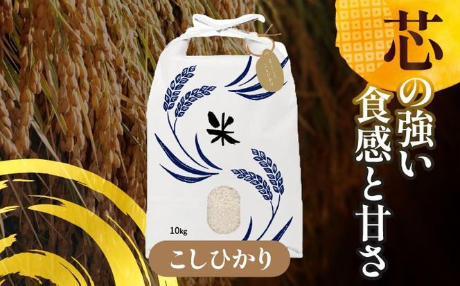 令和6年産　新米　愛知県産コシヒカリ　白米10kg　特別栽培米　ご飯　精米／戸典オペレーター[AECT021]