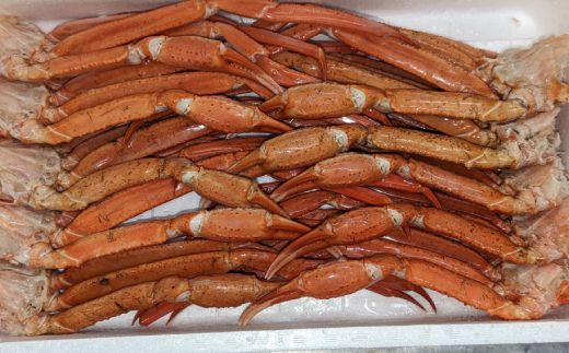 20-273 ボイル紅ずわいがに脚（2kg前後）