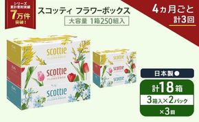 定期便 ティッシュ スコッティ フラワーボックス 3箱 × 2 パック《 4ヶ月ごと計 3回 》ティッシュセット