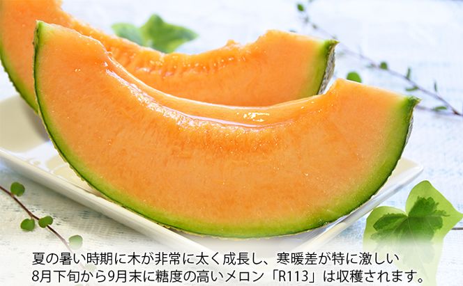 【2026年8月下旬より発送】北海道 富良野 メロン 赤肉 2玉 計約3.6kg メロン フルーツ 果物 新鮮 甘い 贈り物 ギフト 道産 ジューシー おやつ ふらの ブランド 夏  (吉田農園)