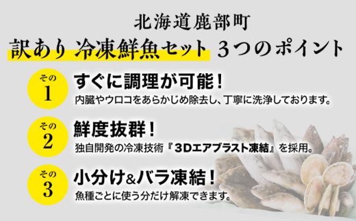 【2026年4月下旬発送】北海道産 冷凍鮮魚セット 最大3.2kg 「漁師応援プロジェクト！」 下処理済み 海鮮 海産 地元 期間限定