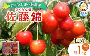 【先行予約：2026年6月下旬以降発送】さくらんぼ【佐藤錦】1Kg_Y127-0014