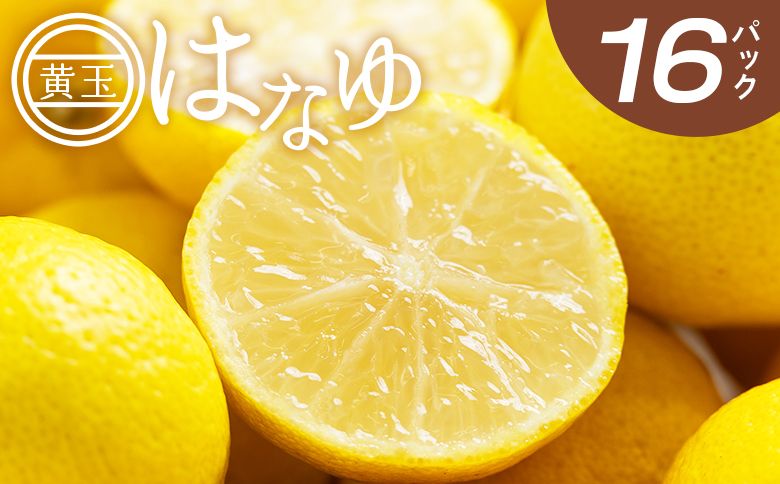 ゆず [2026年11月以降順次配送]虎弥太郎 はなゆ黄玉 16パック - 国産 ゆず 柚子 ユズ 花柚子 柑橘 香酸柑橘 果物 花皮果汁 フルーツ 果実 料理 酒 ハイボール 焼酎 アレンジ 焼き魚 小分け hy-0004