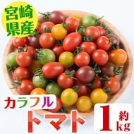 ＜期間限定＞カラフルトマト食べ比べセット(約1kg) 国産 宮崎県産 とまと 野菜 サラダ 黄色 オレンジ みどり 紫 アイコ 赤 セレブスイート 【KT-9】【K.Tfarm】