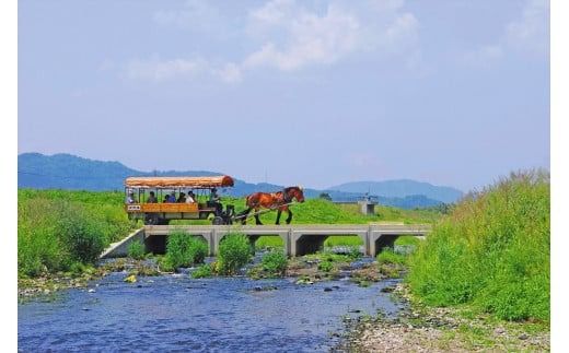京馬車で行くトロッコ亀岡駅から保津川下り乗船場コース チケット 子ども（4歳から12歳まで） 1枚 ※（要予約）ご利用前に予約が必要です。