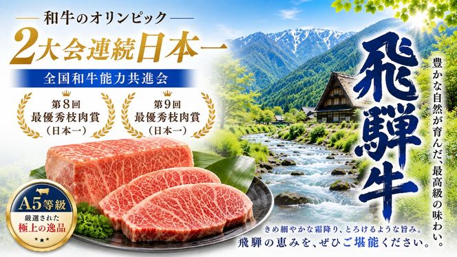 店主こだわり雌牛 飛騨牛A5等級　サーロインブロック約2kg [No.118]