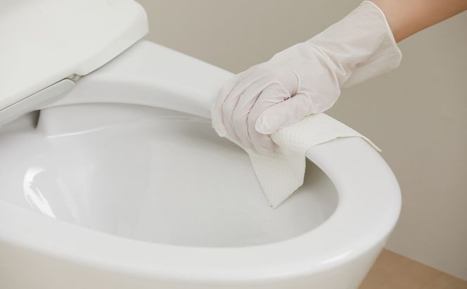 【20枚入り×12個】トルクリーン トイレクリーナー厚手 T-TA20 20枚入り（10枚×2個） トイレ掃除シート 20枚 除菌 抗菌 丈夫 重曹 黄ばみ 汚れ 凹凸エンボス トイレクリーナーシート 使い捨て 流せる 掃除シート アイリスオーヤマ