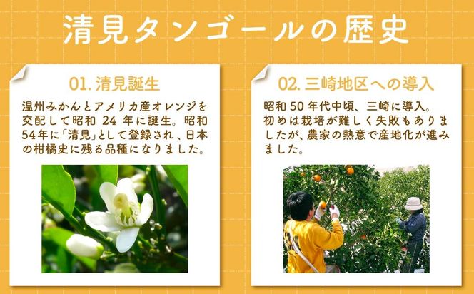 【先行予約】清見タンゴール（貯蔵・生果5kg）※離島への配送不可（2026年4月下旬より順次発送予定） IKTBD007