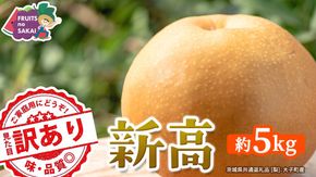 ＜ 訳あり ＞ 新高 約5kg 【2026年10月より発送開始】（茨城県共通返礼品 [梨]：大子町産） ご家庭用 フルーツ なし ナシ 和梨  梨 わけあり 果実 旬のフルーツ お取り寄せ くだもの 果物 みずみずしい