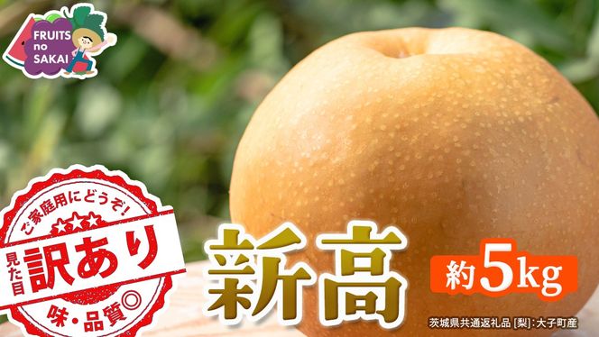 ＜ 訳あり ＞ 新高 約5kg 【2026年10月より発送開始】（茨城県共通返礼品 [梨]：大子町産） ご家庭用 フルーツ なし ナシ 和梨  梨 わけあり 果実 旬のフルーツ お取り寄せ くだもの 果物 みずみずしい