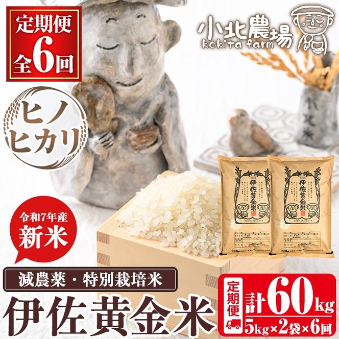 yɍszisa792 sʌE6ցtߘa7NY k_̐V ɍāqqmqJr(v60kgE5kg×2×6)  ɍ V  60kg  6 ʍ͔| ɍ  qmqJ Ђ̂Ђ ɂ ͂  yk_z