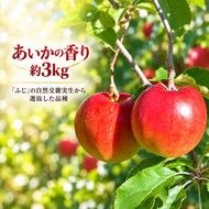 りんご 令和8年11月中旬発送 幻のりんご あいかの香り 約3キロ 信州が生んだ希少なりんごです（りんご・リンゴ・林檎）【012-93】