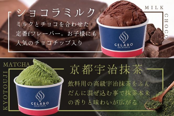 贅沢素材・10種のジェラート【EK0000014】