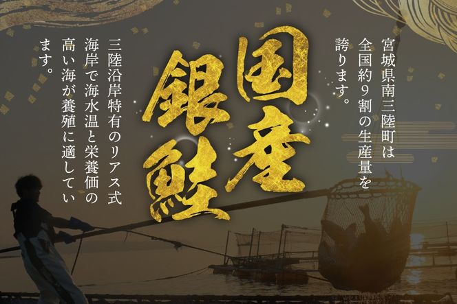 3回 定期便 訳あり 三陸産 銀鮭 切身 約2.2kg 総計6.6kg [阿部長商店 宮城県 南三陸町 m304amh530010] 魚介類 魚 鮭 海鮮 さけ サケ 鮭切身 シャケ 切り身 訳アリ おかず 弁当 サーモン 銀鮭切り身 国産 無塩 規格外 無塩鮭 不揃い 冷凍 家庭用 わけあり