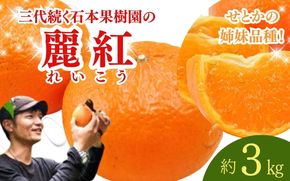 【先行予約】石本果樹園の美味しい麗紅（レイコウ）約3kg 18～20玉前後【2026年2月中旬から3月中旬までに順次発送】 / みかん フルーツ くだもの 果物 れいこう【min003B】