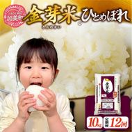 【新米予約】金芽米 定期便 無洗米 10kg (5kg×2袋)× 12ヶ月 計 120kg 令和8年 米 特別栽培米 ひとめぼれ 宮城県 加美産 BG無洗米 [ 宮城県 加美町 ] km-km-knm10-t12-r8 | km-km-knm10-t12-r8