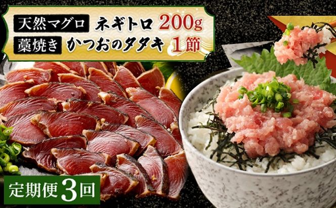 【定期便 / ３ヶ月連続】 土佐流藁焼きかつおのたたき１節と高豊丸ネギトロ２００ｇセット 魚介類 海産物 カツオ 鰹 わら焼き 高知 コロナ 緊急支援品 海鮮 冷凍 家庭用 訳あり 不揃い 規格外 連続 ３回 小分け 個包装 まぐろ マグロ 鮪 お手軽 藁 藁焼き かつお 室戸のたたき　tk061