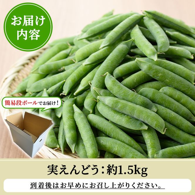 ＜先行予約受付中！2027年1月上旬以降順次発送予定＞期間限定！実えんどう (約1.5kg) 国産 鹿児島県産 ハウス栽培 野菜 旬 豆 マメ まめ エンドウ 豆ごはん ポタージュ 期間限定 数量限定 季節限定 【東新グリーンファーム合同会社】akn062-13