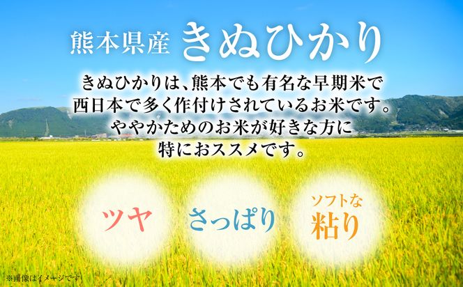 【令和7年産】 熊本県産 きぬひかり 5kg（5kg×1袋） 米 お米 精米 白米 ごはん ご飯 熊本