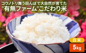 米 コウノトリ舞う田んぼで大自然が育てた"有無ファーム"こだわり米 白米 5kg 精米 お米 栽培期間中農薬・化学肥料不使用