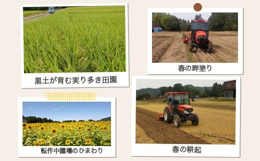 【早期予約】令和7年度産 肥沃な黒土で育ったお米 魚津市長引野産 こしひかり 5kg ※北海道・沖縄・離島への配送不可 ※2025年10月上旬～12月下旬頃に順次発送予定