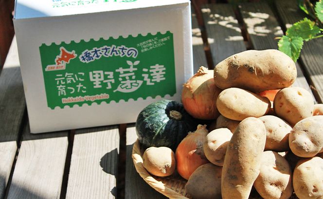 【2026年秋冬発送】富良野 野菜セット 約10kg 人参 かぼちゃ いも 玉ねぎ ごぼう ゆり根 米