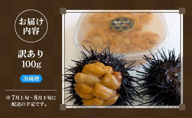 ＜先行予約＞ 北海道産 ムラサキウニ（訳あり）【ogm-028】うに 海鮮 訳あり 国産 北海道 伊達 ふるさと納税