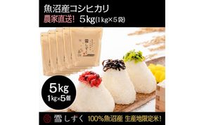 令和7年産！魚沼産コシヒカリ【農家直送!】 5kg(1kg×5袋) お米 米 コメ 