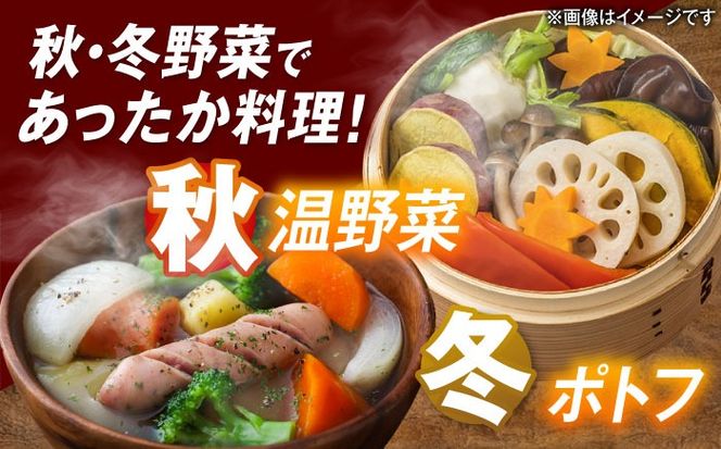 愛西市産 あいちのかおり4.5kgと旬の季節野菜詰め合わせ 精米 お米 野菜 愛西市 / お米の三輪[AECM002]