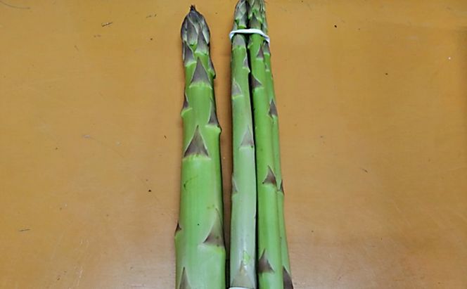 期間限定！極太アスパラ 【さぬきのめざめ1kg】  3Lサイズ 野菜セット 野菜 アスパラガス 