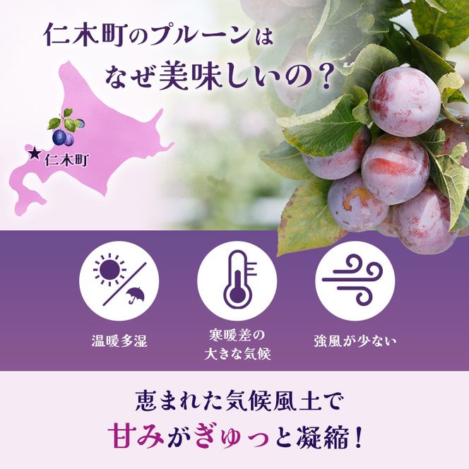 [先行受付] 【9月後半～10月発送】北海道 仁木町産 おすすめプルーン1.6kg（400g×4パック） 果物類 果物 くだものフルーツ 果物詰合せ プルーン [和田農園]
