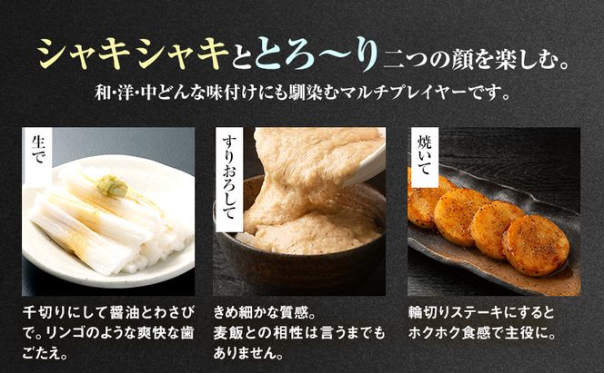 2026年12月発送 先行予約 十勝「忠類長いも」5kg (5～8本) L～2L［JA忠類］【 長芋 ながいも 山芋 芋 とろろ 野菜 根菜 産地直送 贈答 ギフト北海道 幕別 】