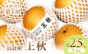 梨 王秋梨 まるで食べる梨ジュース！！約2.5kg 3～6玉入 ナシ 果物 フルーツ 先行予約 