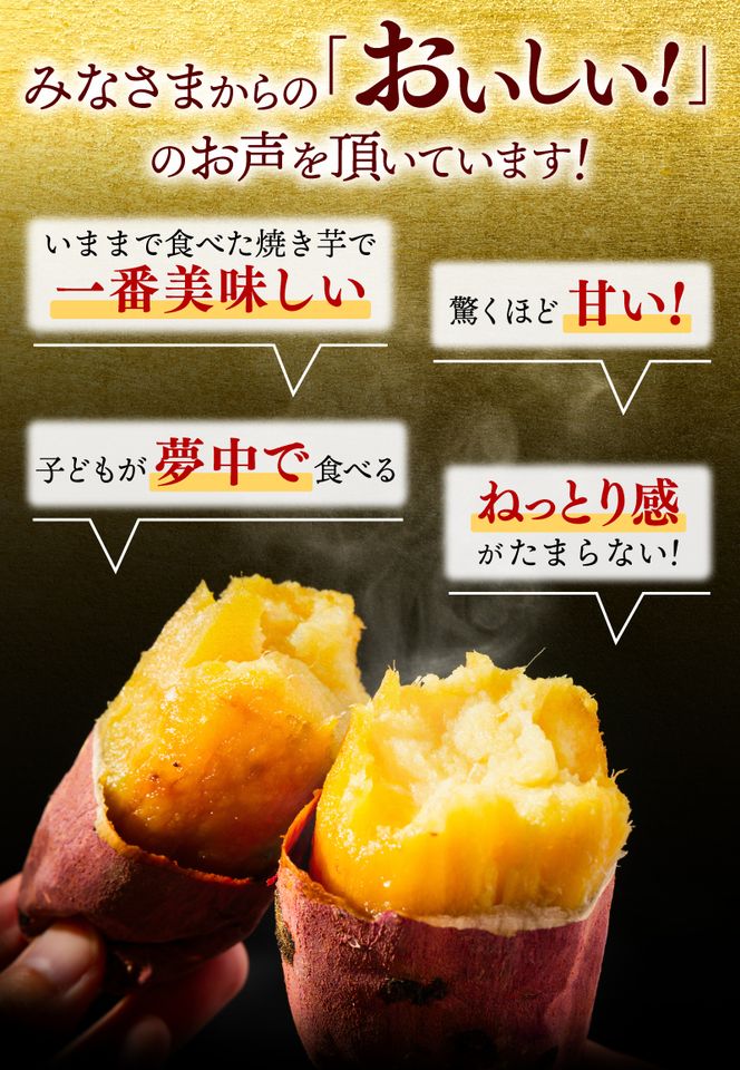 【人気返礼品】鹿島焼芋 純 1.5kg【冷蔵 ひやし 焼き芋 やきいも さつまいも 芋 お菓子 おやつ デザート スイーツ 和菓子 和スイーツ 鹿嶋市 茨城県】（KBK-8-2）