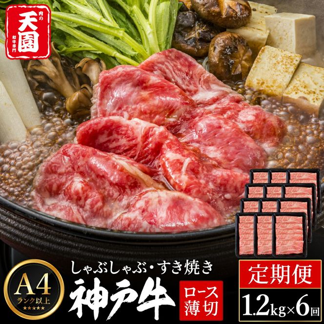定期便 神戸牛 霜降り 肩ロース しゃぶしゃぶ すき焼き 計7.2kg（1.2kg×6回）毎月1回のお届け / A4ランク以上 しゃぶしゃぶ用 すき焼き用 牛肉 ロース 小分け 薄切り うす切り 冷凍 肉の天園