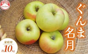 【2026年10月～発送】ぐんま名月 家庭用 約10kg りんご リンゴ 林檎 果物 フルーツ 長野県 長野 山ノ内町