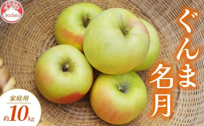 【2026年10月～発送】ぐんま名月 家庭用 約10kg りんご リンゴ 林檎 果物 フルーツ 長野県 長野 山ノ内町