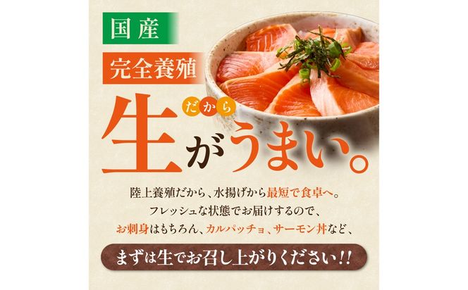 無投薬 国産 トラウトサーモン 小分け 400g以上 刺身用【宗像陸上養殖】_AS2096-00 無投薬 国産 鮭 サーモン 200 400 福岡県宗像市 宗像市 福岡 宗像