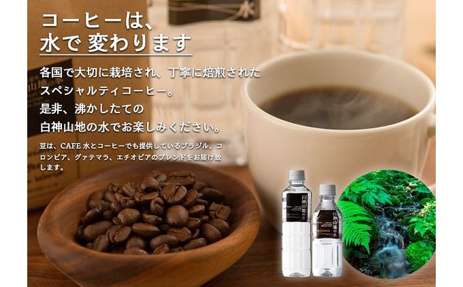 白神山地の水・スペシャルティコーヒーのセット ナチュラルウォーター 500ml×6本 コーヒー 200g  軟水   湧水 湧き水  珈琲 中挽き